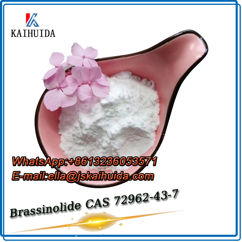 Brassinolide CAS 72962-43-7